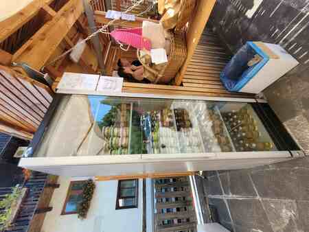 54. Lučki dan: Od štanta do štanta